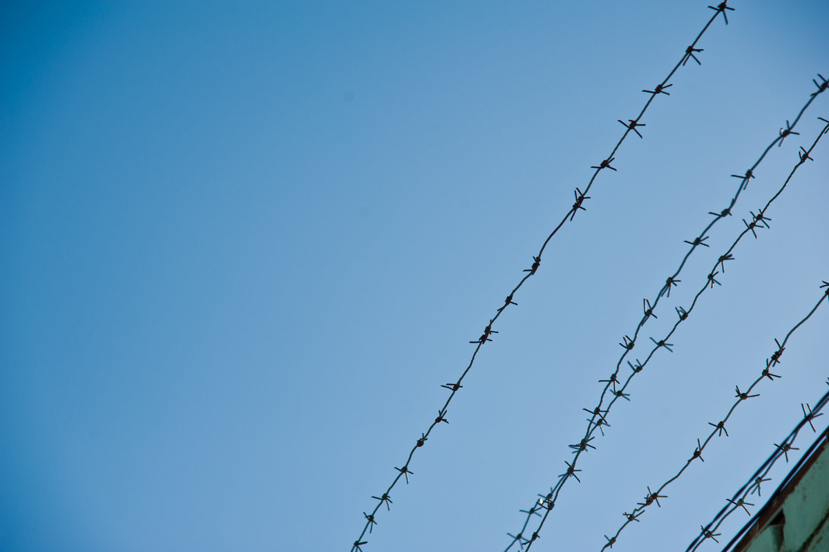 © Фото: ИД «Волгоградская правда» / архив