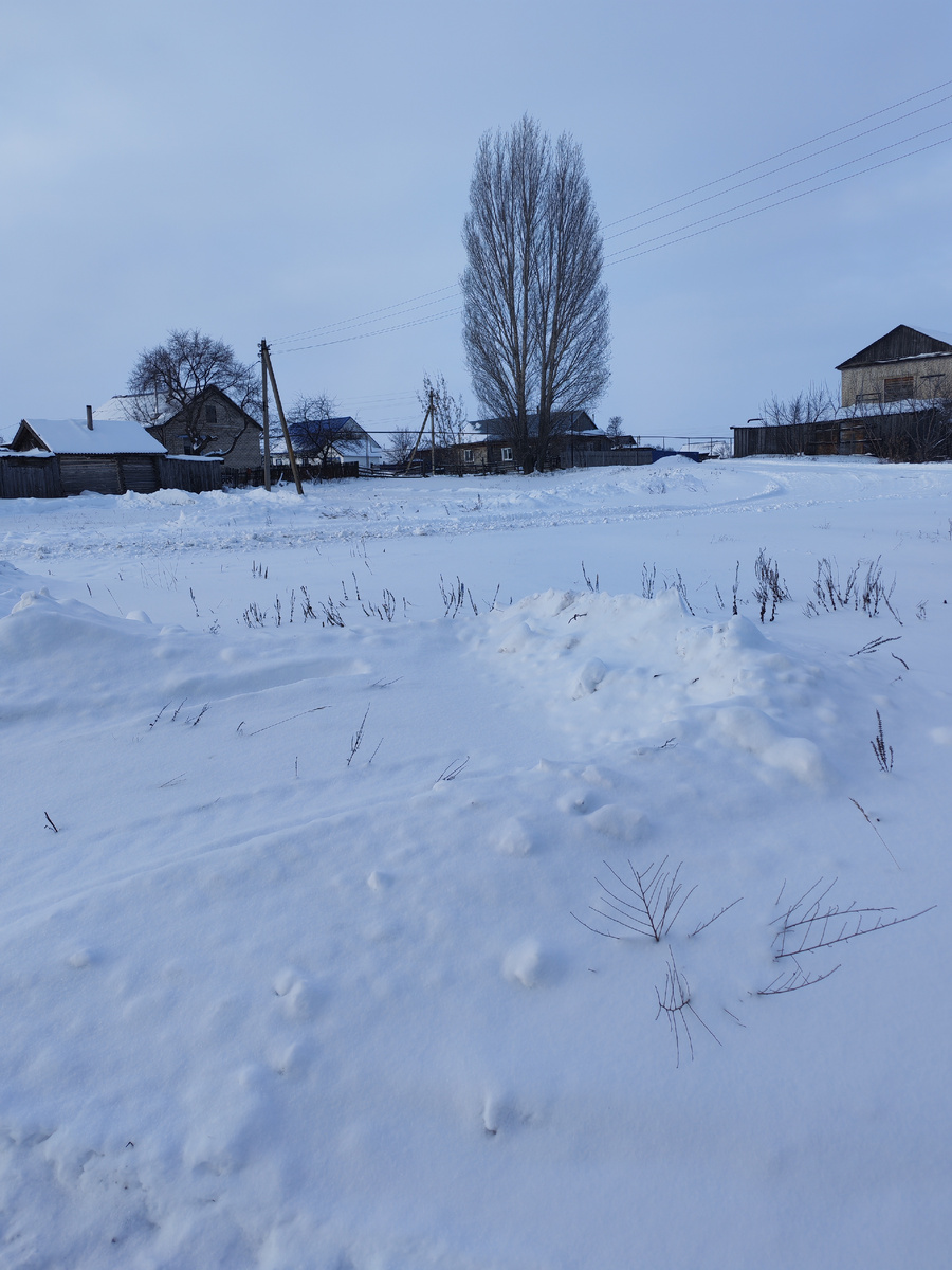 Видите следы? Я тоже не вижу