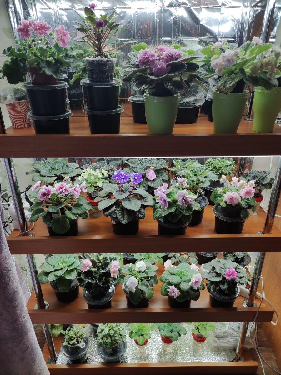 Один из моих стеллажей.