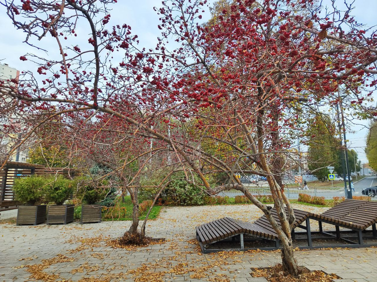 Фото автора.