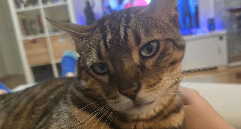    Фото Анастасии Дмитриевой