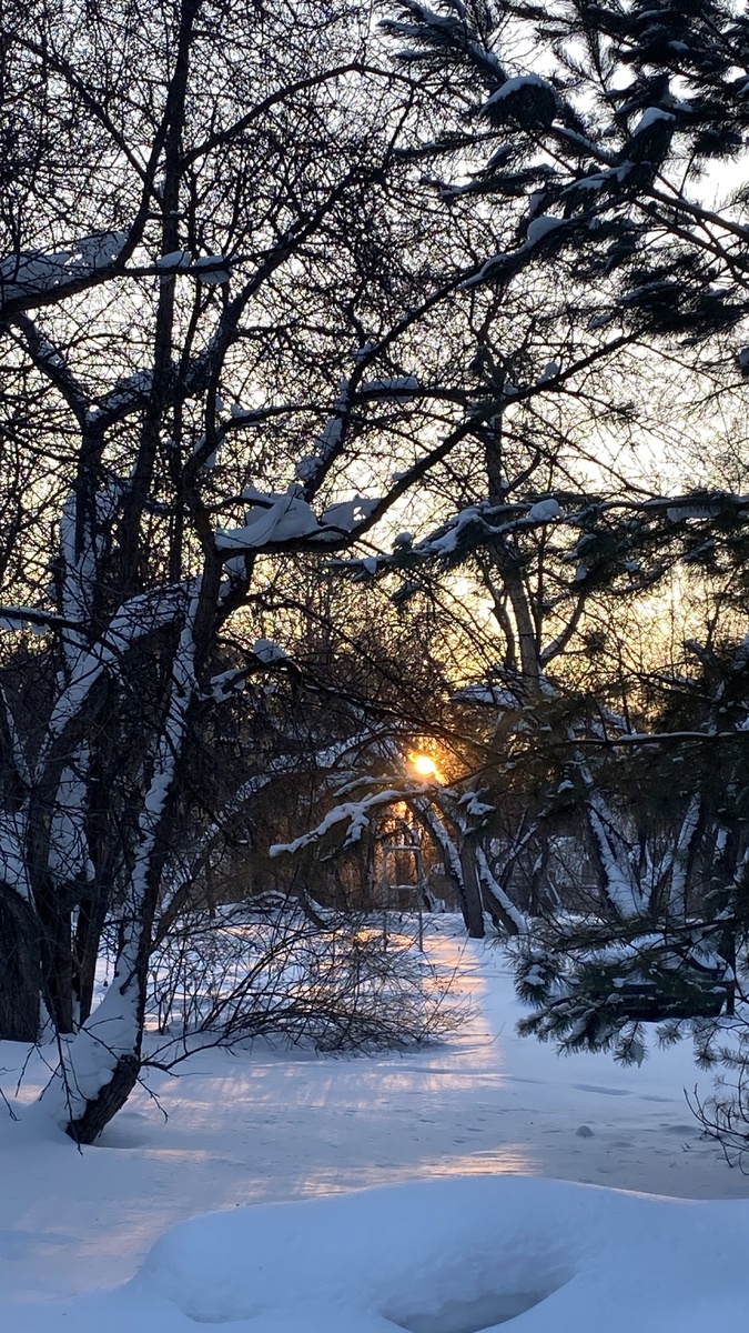 Фото из архива автора