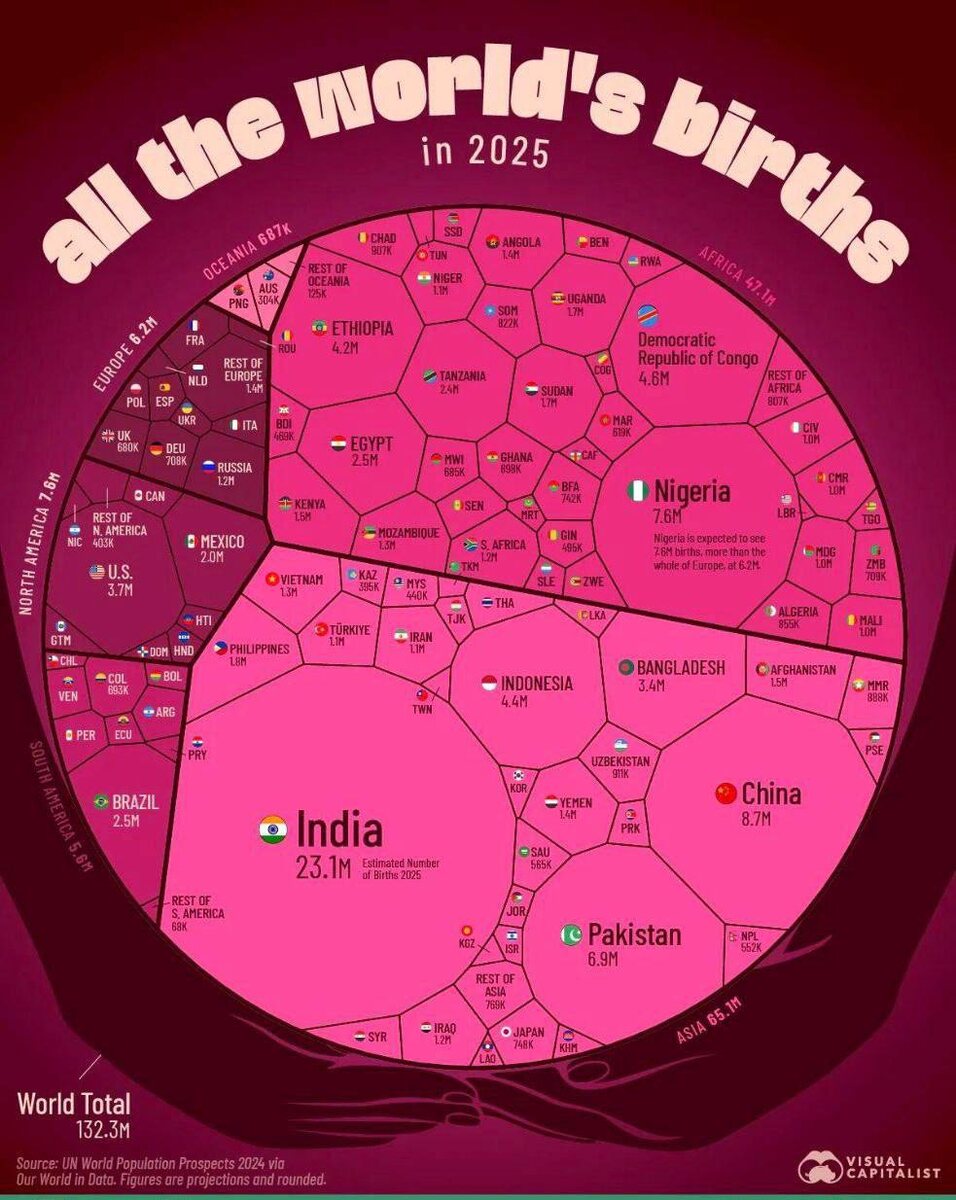 Фото: Visual capitalist