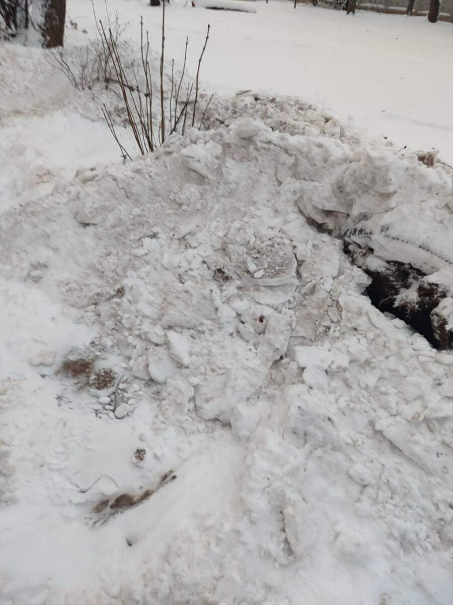    фото: "КурскСити"