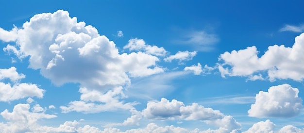 Фото в свободном доступе.