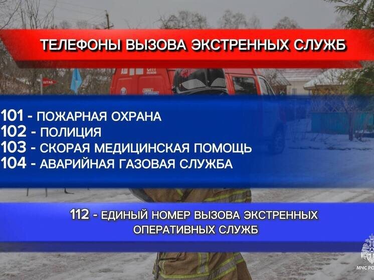     Фото: МЧС России по Псковской области