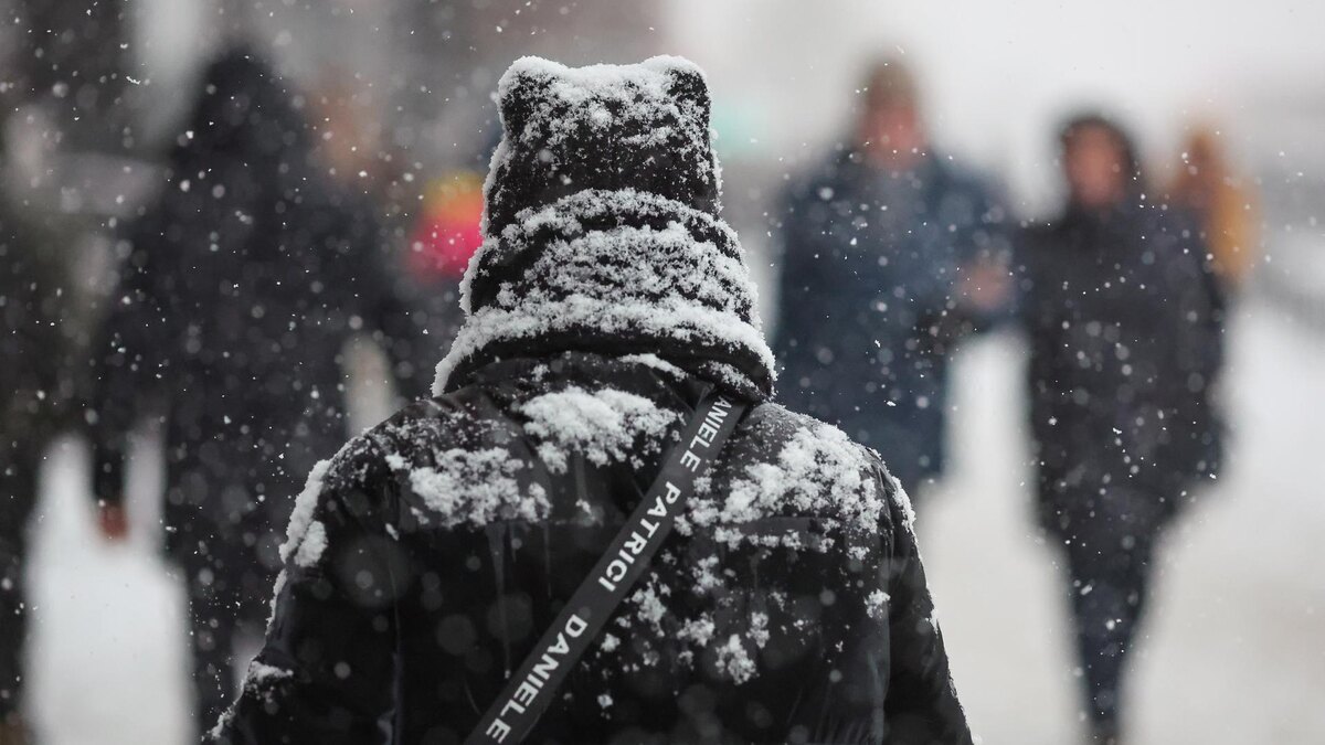    Фото: Belkin Alexey/news.ru