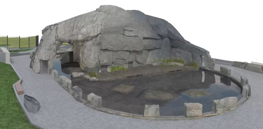     Проект реконструкции бассейна для ластоногих.Фото: телеграм-канал администрации Калининграда.