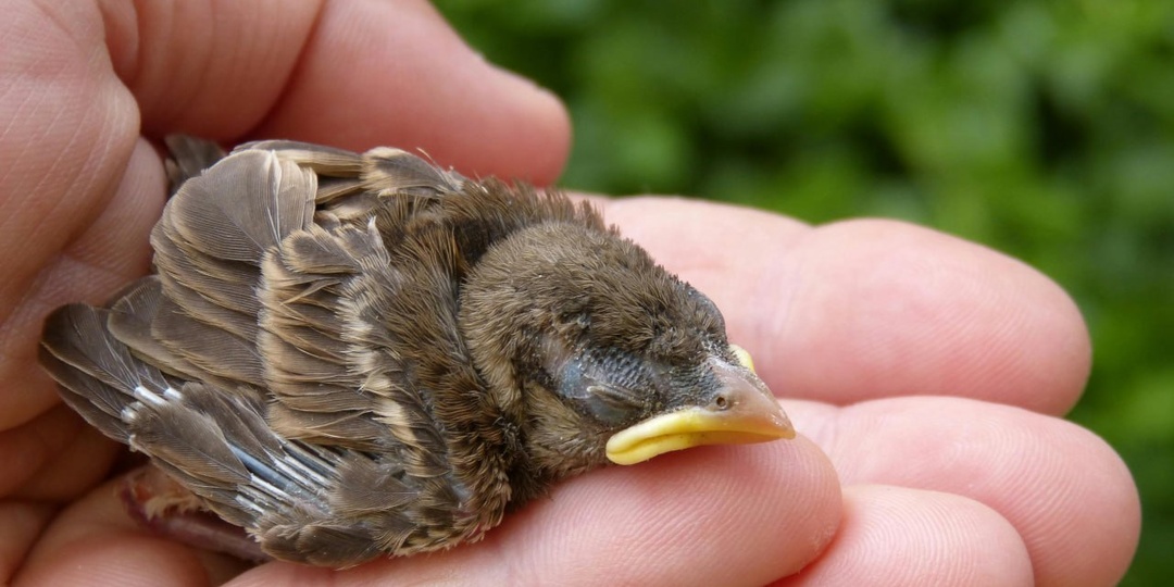 В Евангелии от Матфея есть слова Христа: «Итак, во всём, как хотите, чтобы с вами поступали люди, так поступайте и вы с ними