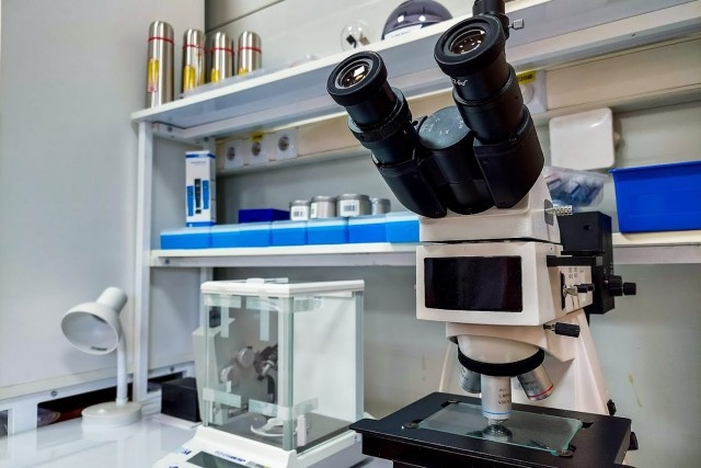   Фото из архива Калининград.Ru