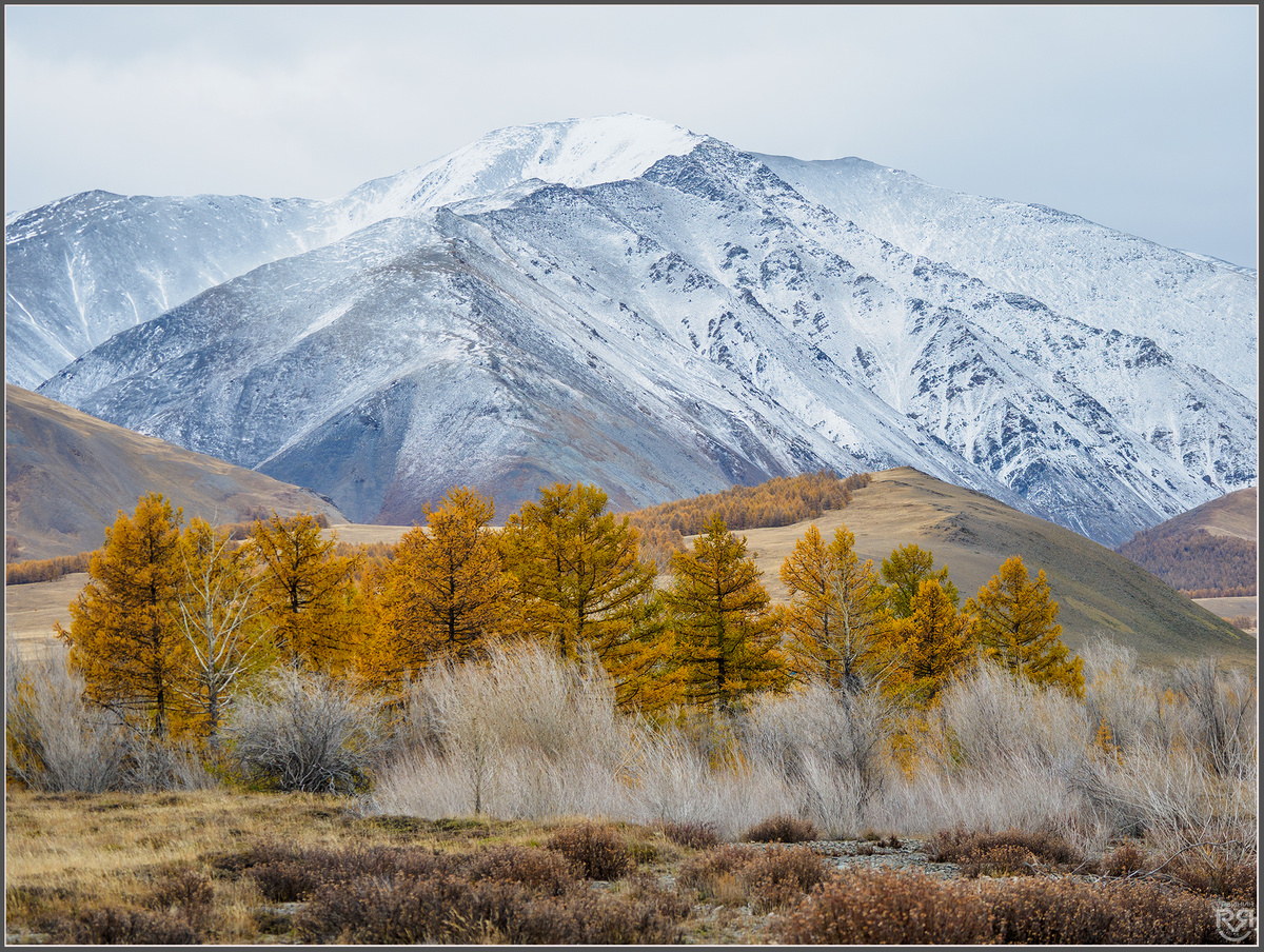 Фото: Михаил Рябинин | dzen.ru/mryabinin