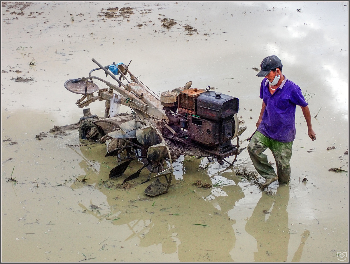 Фото: Михаил Рябинин | dzen.ru/mryabinin