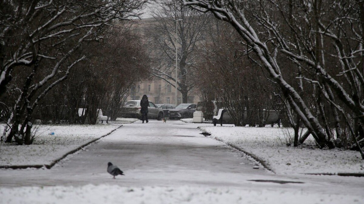   Telegram-канал председателя комитета по благоустройству Петербурга Сергея Петриченко