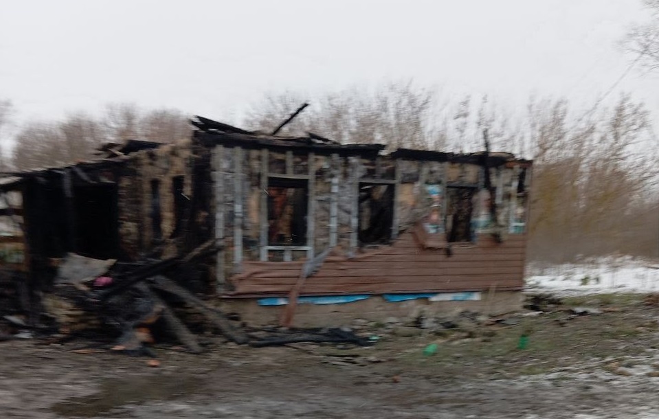     Фото: предоставлено Татьяной Л.