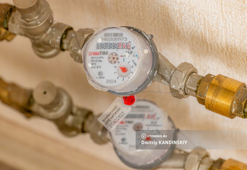    Фото: Дмитрий Кандинский / vtomske.ru