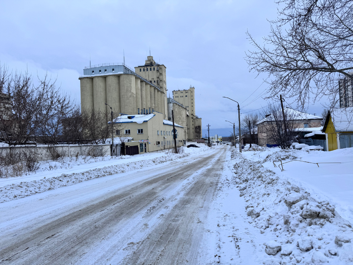 Барнаульский элеватор 