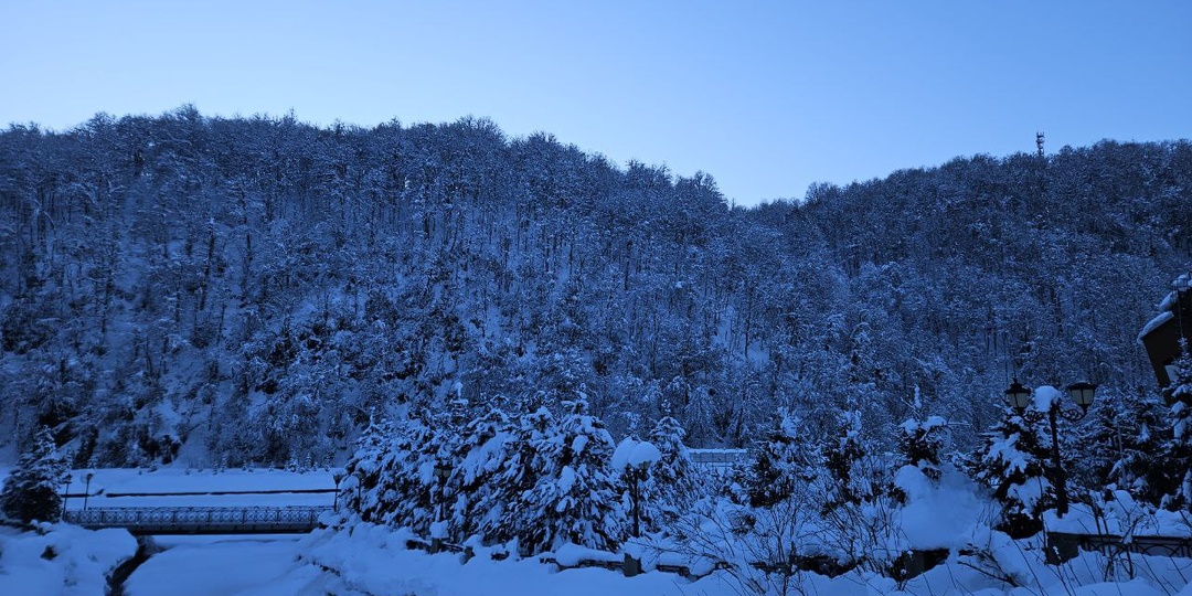 В Сочи в ближайшие сутки ожидается усиление ветра