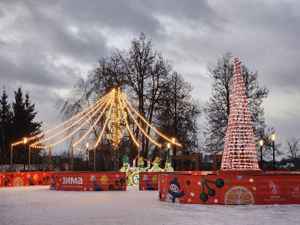    Фото: МедиаБанк Подмосковья/Мария Шигорева