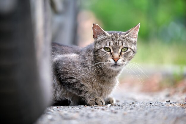 Фото с ru.freepik.com для примера