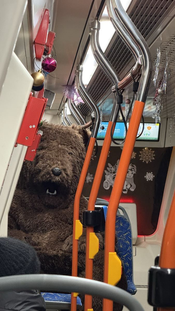 Вчера ехали в трамвае вместе с медведем)))) Чего только не увидишь 2 января!