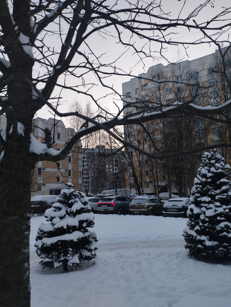 1 января стояли крепкие морозы -11, -12