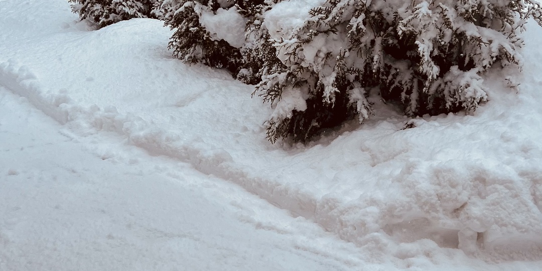 Праздничные дни, снег, подарки.🎁