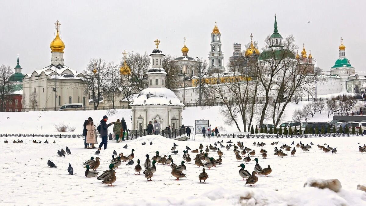 Пернатых в Сергиевом Посаде принято подкармливать. Фото: Наталия Казакова / newizv.ru