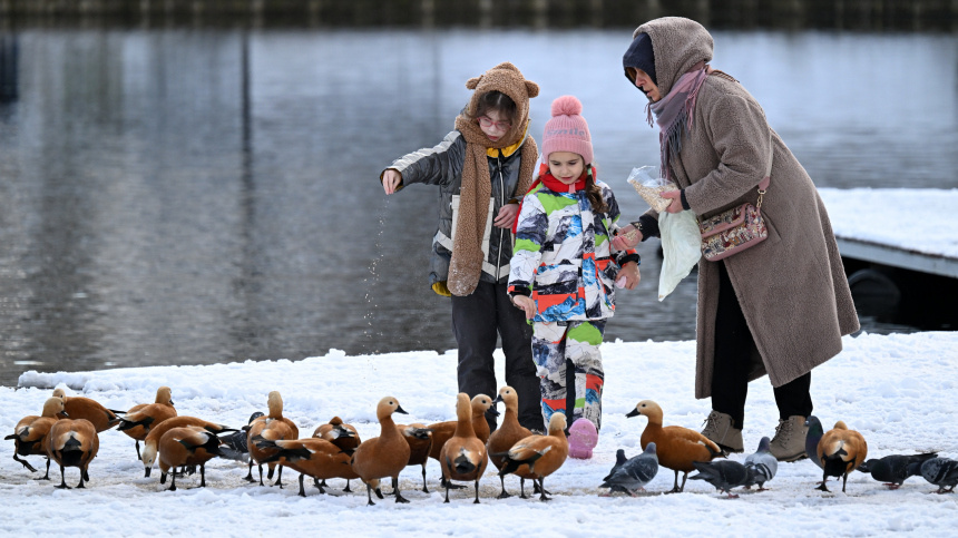    Фото: © РИА Новости/Пелагия Тихонова
