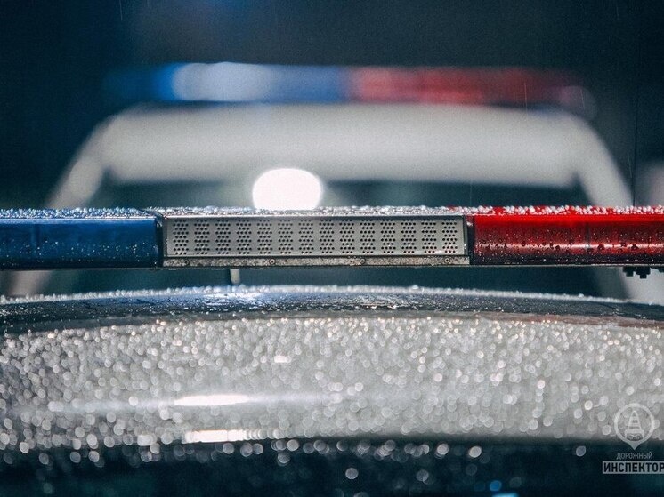     Фото: пресс-служба Управления Госавтоинспекции по Петербургу и Ленобласти.