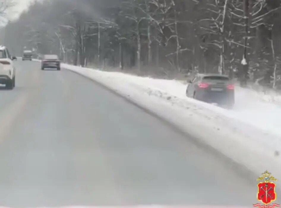    Фото: скриншот из видео пресс-службы ГУ МВД России по Петербургу и Ленобласти.