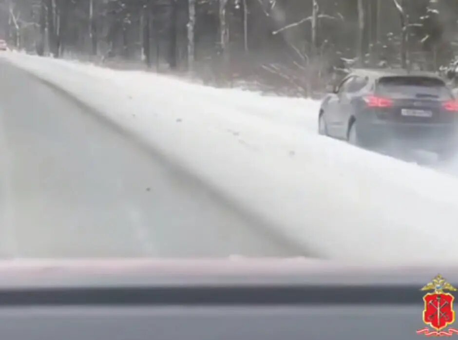    Фото: скриншот из видео пресс-службы ГУ МВД России по Петербургу и Ленобласти.