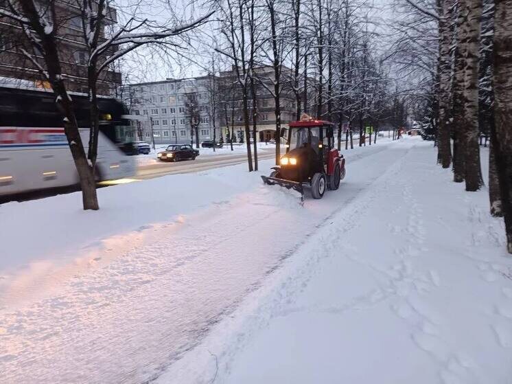     Автомобилистов призвали соблюдать осторожность на дорогах и не препятствовать работе спецтехники. Фото: telegram-канал главы Старорусского округа Елены Комаровой