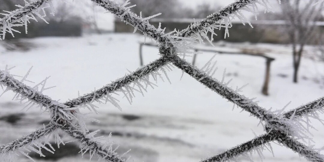 Морозы до -24 градусов ударят в Петрозаводске