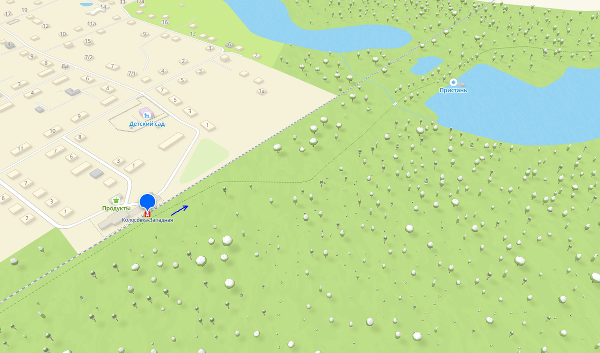 Синей стрелкой указал тропу до водоема