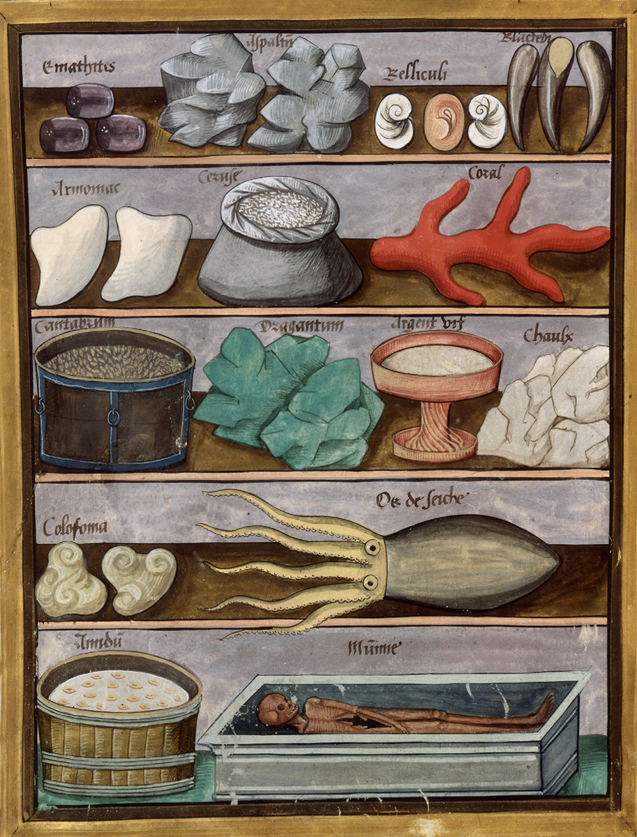 ИЗДЕЛИЯ, ИСПОЛЬЗУЕМЫЕ АЛХИМИКАМИ И ЖИВОПИСЦАМИ
Художники, работавшие в эдиевской традиции, применяли разнообразные связующие вещества и пигменты, добываемые из источников животного, растительного и, в особенности, минерального происхождения. Представленная миниатюра демонстрирует примеры некоторых из этих материалов. Зеленый блок в третьем ряду, внешне схожий с малахитом (природным карбонатом меди, известным своим насыщенным зеленым цветом), на самом деле является затвердевшим купоросом. Этот последний компонент играл важную роль в синтезе искусственных пигментов, согласно определенным рецептурам.
Миниатюра от Livre des simples médicines, освещенная Robinet Тестард, начало XVI века. Париж, Национальная библиотека Франции, г-жа фр. 12322, фол. 191 v °.