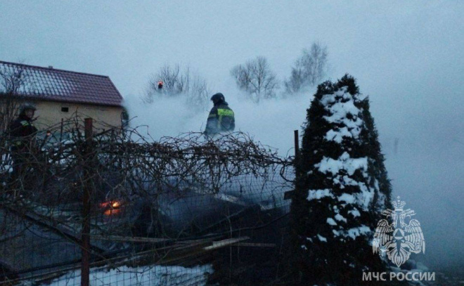    © Пресс-служба ГУ МЧС по Ленинградской области