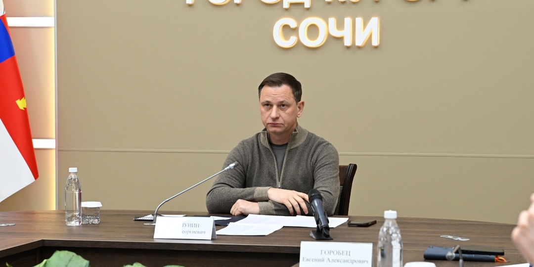 Глава Сочи Андрей Прошунин призвал жителей и гостей города отказаться от личного транспорта при поездках в Красную Поляну в праздничные дни