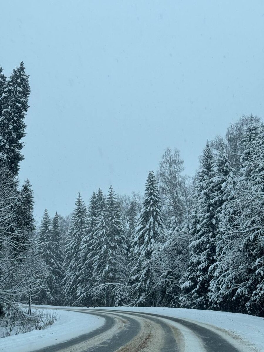 Дорога после новогодних праздников выглядела потрясающе, давно не было такого снежного нового года.
