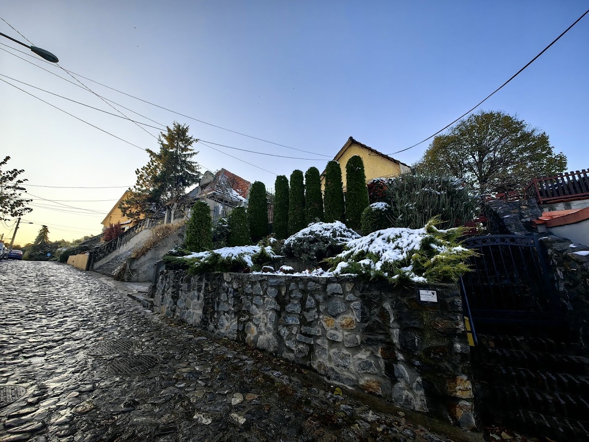 Скользкие мостовые холодного Земуна