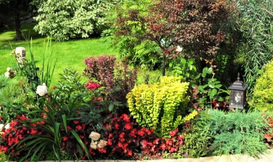 Миксбордер. Фото из свободных источников.