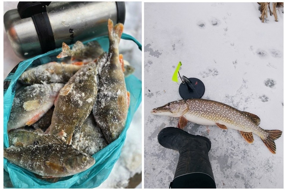    Ловись, рыбка, большая и маленькая! Фото: https://vk.com/overstory163