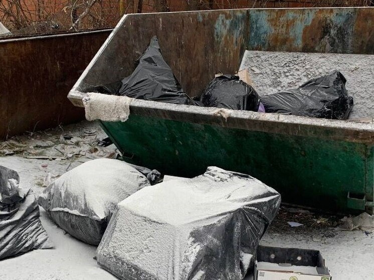     Фото: МК в Пензе