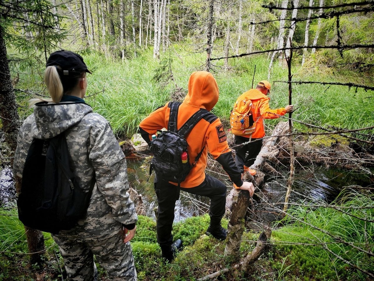     «ЛизаАлерт» / Карелия / VK