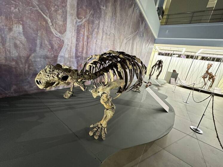     Фото:Вера Дронзикова/«Ямал-Медиа»