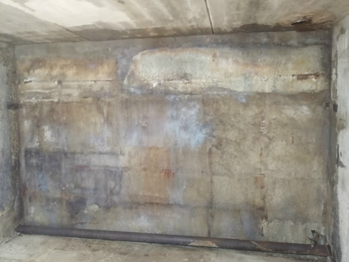 Обработал стены от плесени