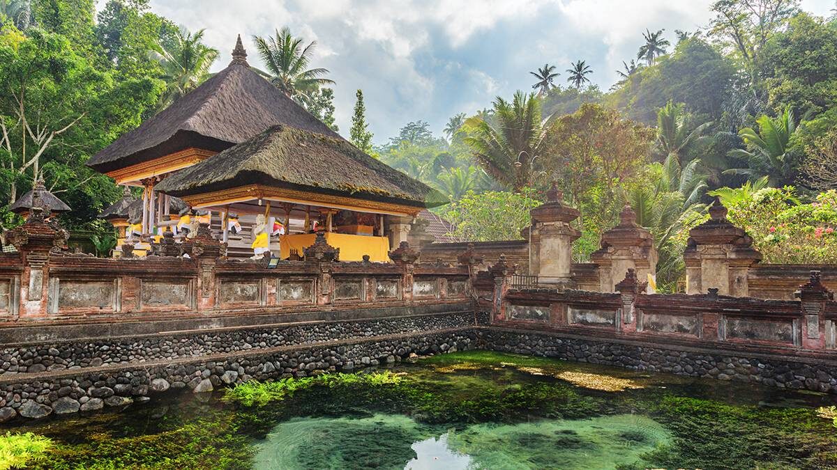    Фото: Shutterstock