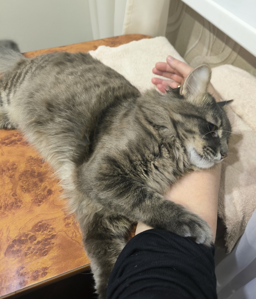 Все фотографии в статье авторские. 