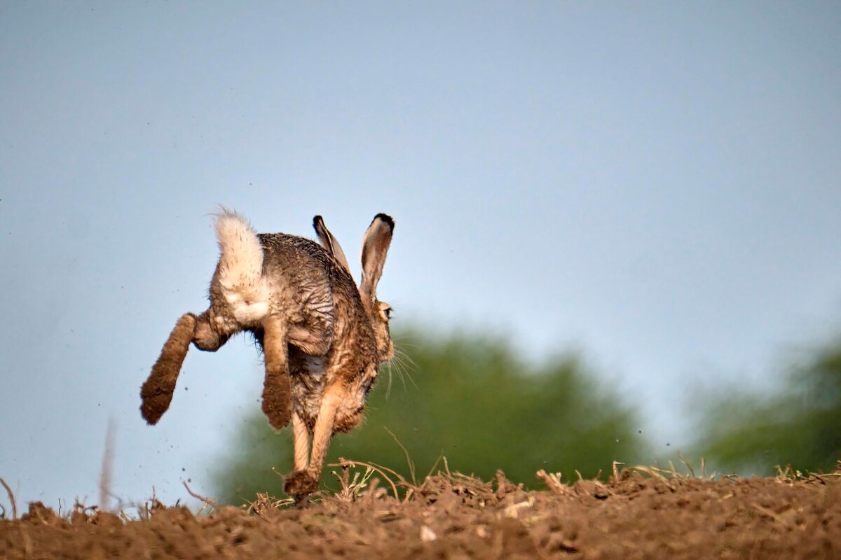     / Источник: © Global Look Press