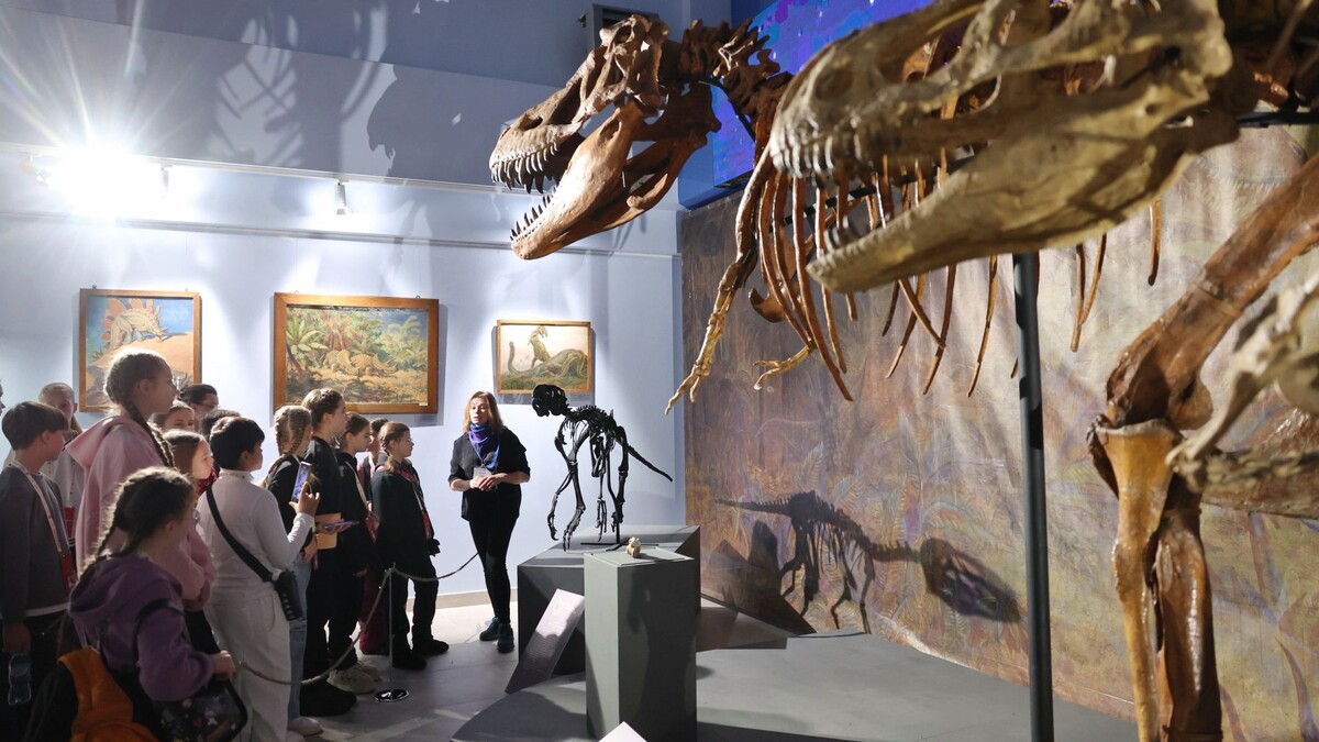    Фото: Андрей Ткачев / «Ямал-Медиа»