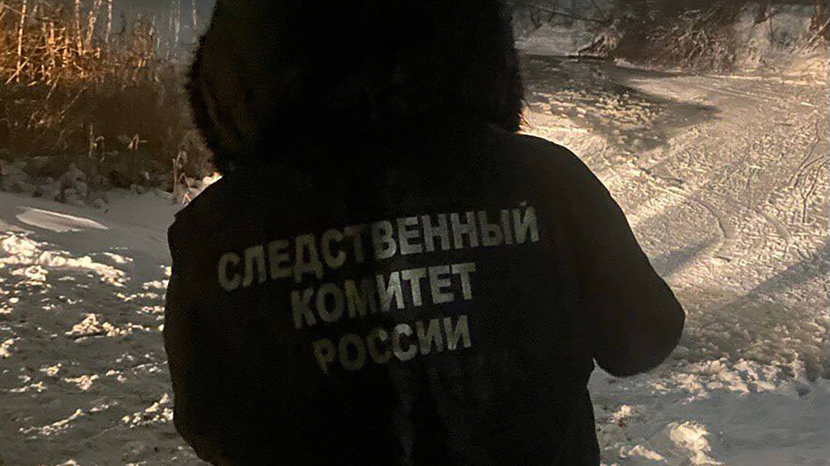   СУ СК России по Воронежской области